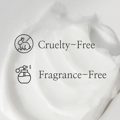 BEAUTY of JOSEON Dynasty Cream (50Ml) Hydrating Face Moisturizer, Korean Skincare