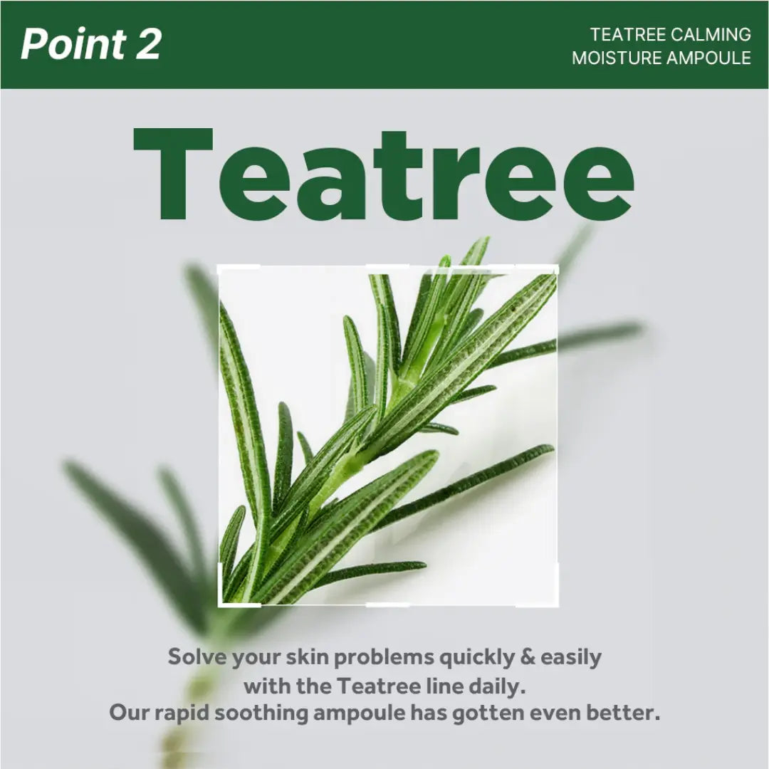Mediheal Teatree Calming Moisture Ampoule Skincare Blemish