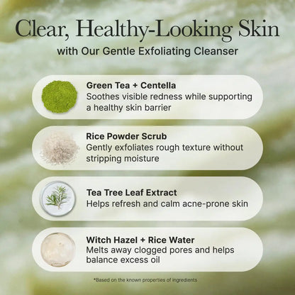 [ARENCIA] Korean Green Rice Mochi Face Cleanser - Face Mask, Foaming Cleanser, Gentle Scrub All in One - Deep Cleansing, Moisturizing, Pore Minimizing, Removing Blackhead- with Rice Water & Green Tea, Mugwort