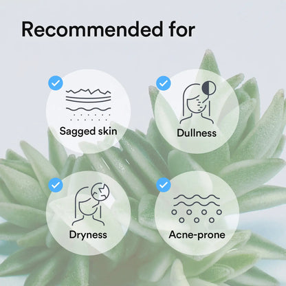 [Abib Official] Abib Collagen Gel Mask Sedum Jelly (4P) for Glowing Skin｜Korean Vegan Collagen, Overnight Hydrogel Mask, Elasticity Improvement