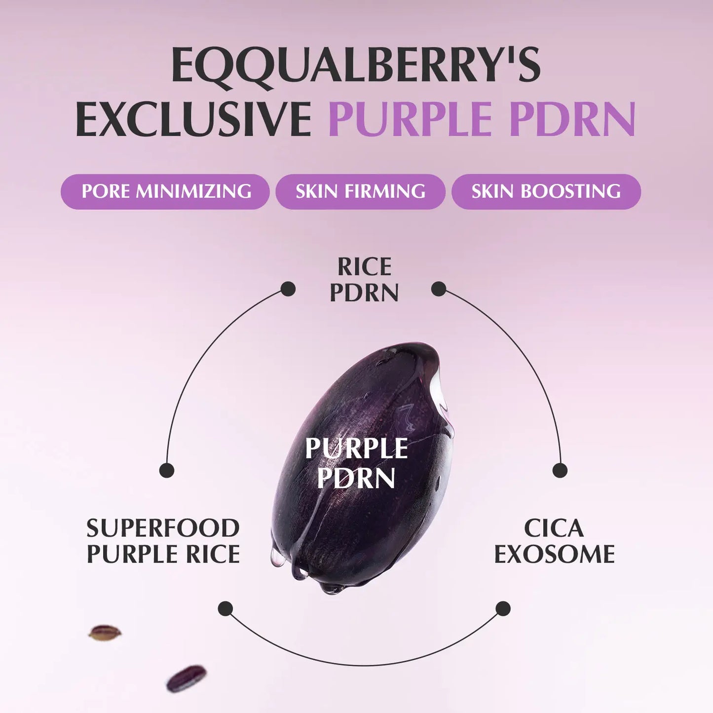 EQQUALBERRY Purple PDRN Pore Minimizing Serum – Vegan Collagen & Peptides for Pore Refining & Skin Elasticity | Niacinamide & CICA Exosome for Brightening & Calming | Korean Glass Skin, 1.01 FL OZ